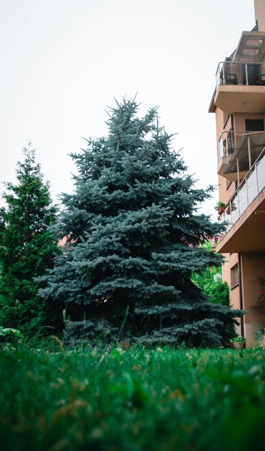 Holiday Apartment 7 خيساريا المظهر الخارجي الصورة